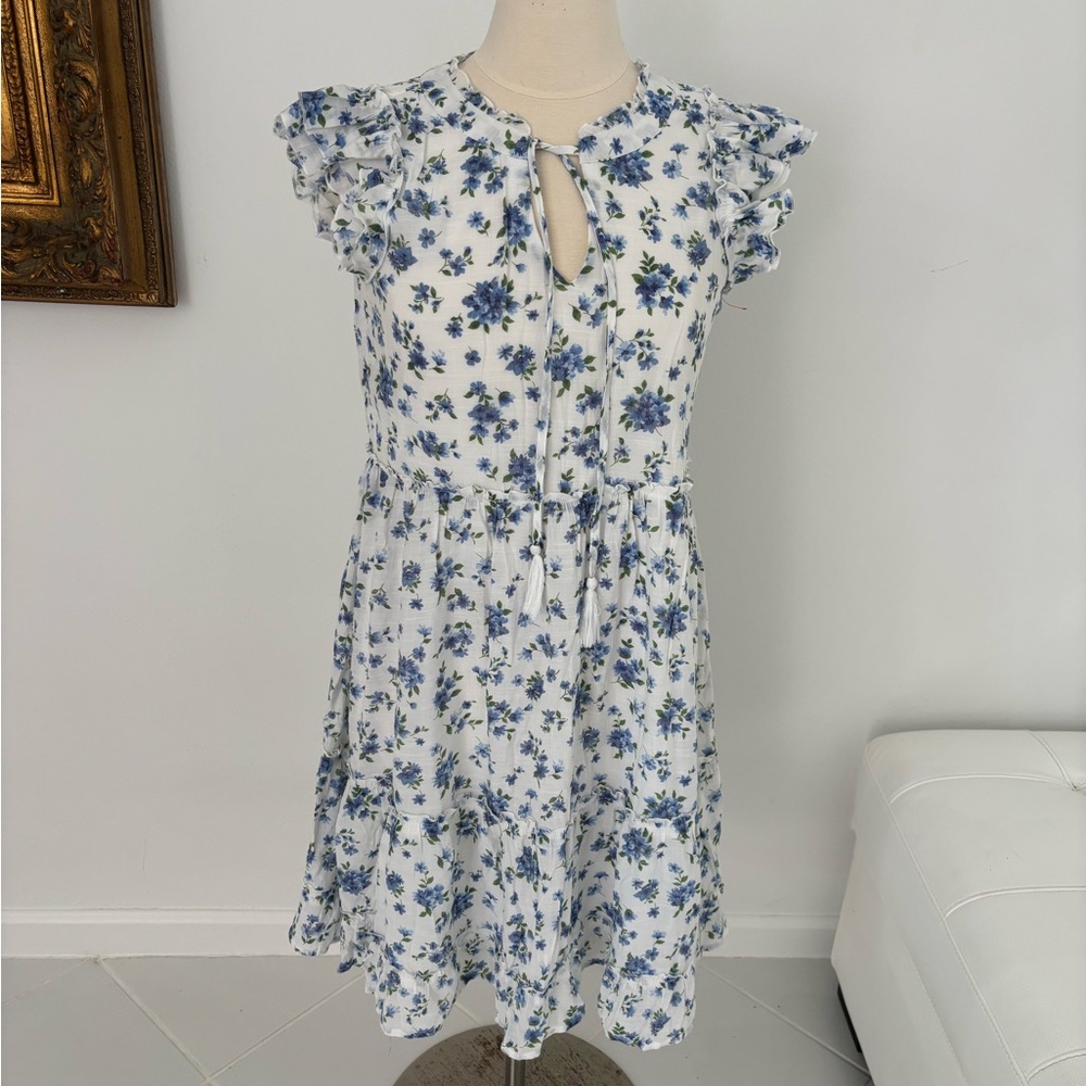 Floral Blue and White Dress